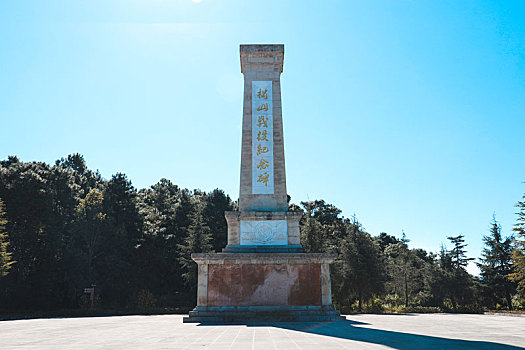 soicauthudo rongbachkim