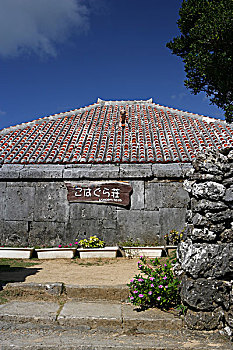 soi cau 8585