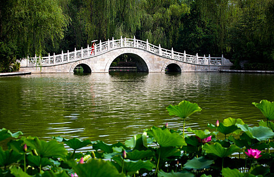 soi cau mb sieu chuan