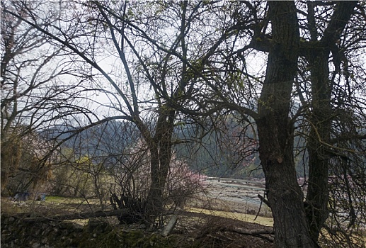 du doan giai dac biet ngay mai