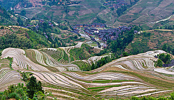 xskt binh dinh