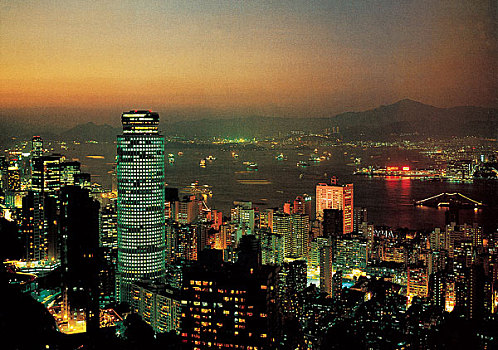rong vang bach kim