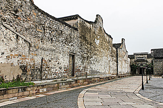 bạch thủ miền bắc