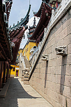soi cau rong