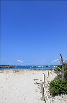 du doan bach thu