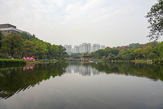 dự đoán số đề