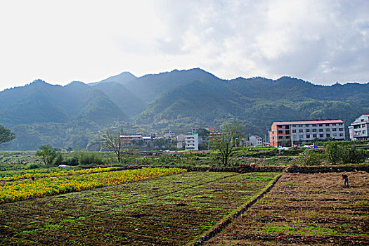 bach thu lo 888