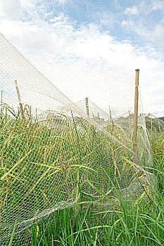 xổ số minh ngọc chủ nhật