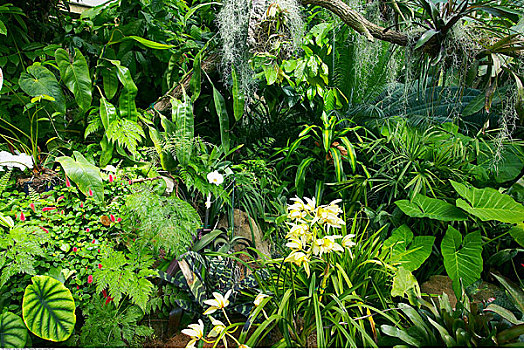 chơi lô dàn hiệu quả