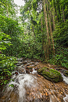 xổ số kiến thiết an giang
