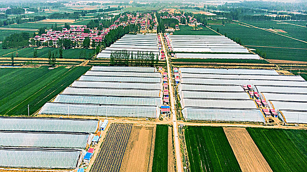 xổ số kiến thiết vũng tàu