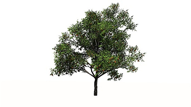 kết quả xổ số miền nam thứ tư hàng tuần