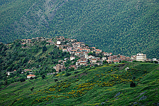 hoi lo de
