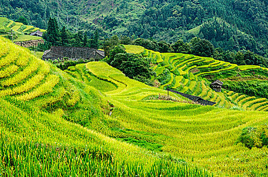 soi cau 247 khung 3 ngay
