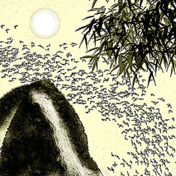 xổ số long an