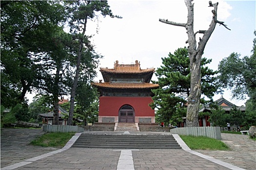 trực tiếp xsmb