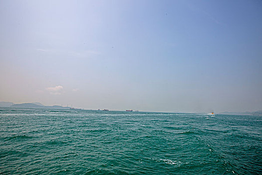 rong bạch kim 666