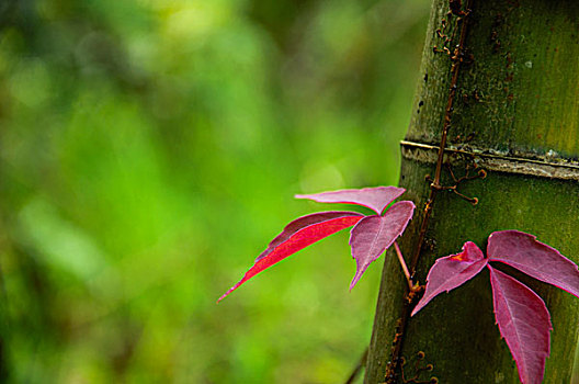 xổ số xổ số