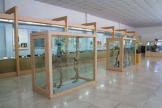 cầu tuần xsmb