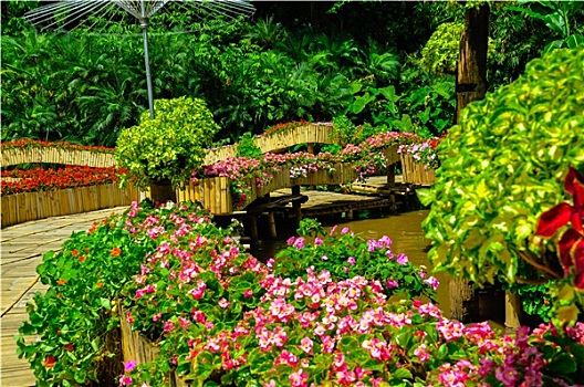 dự doan xsmb hom nay