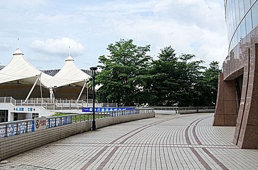soi cau hay