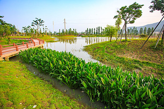 xổ số minh ngọc hôm nay