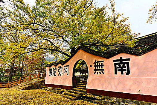 cau bach kim