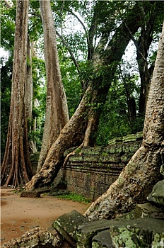 dự đoán miền bắc hôm nay