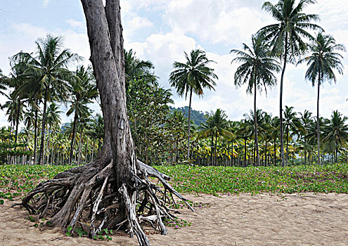 quay thử xổ số thành phố