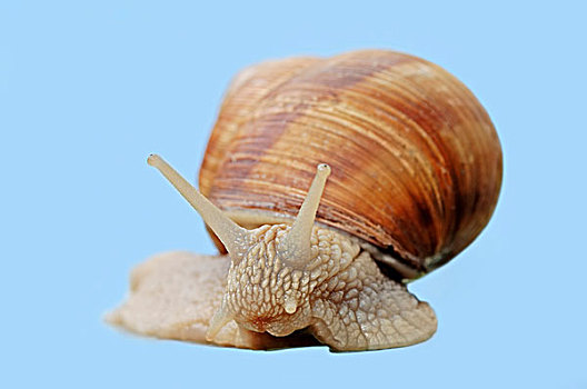 xổ số minh ngọc thứ tư