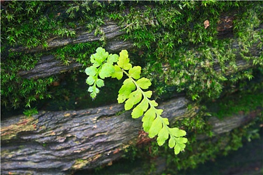 xổ số dự đoán miền nam