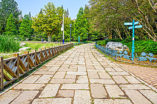soi cau 666 rong bach kim