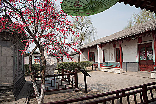 lô đề bạch thủ