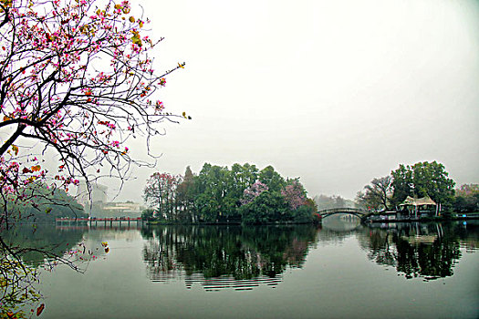 kqxs tay ninh