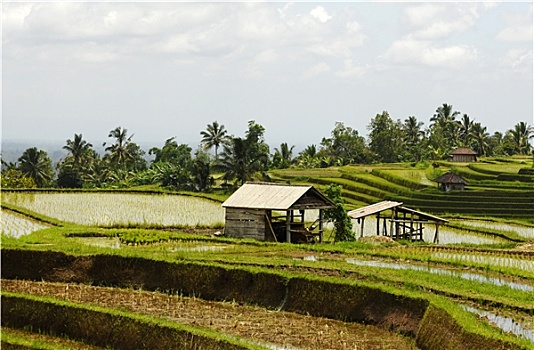 số đề đẹp hôm nay