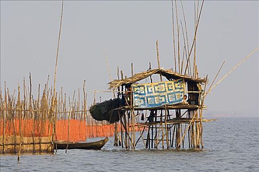 lô bạch thủ ngày hôm nay