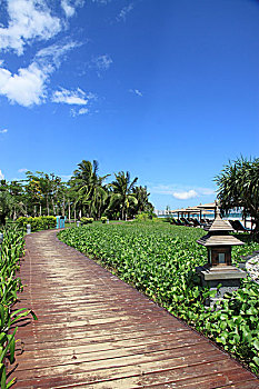 bạch thủ lô 88