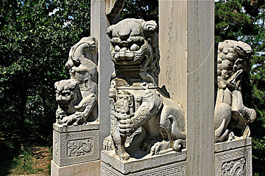 xổ số vũng tàu