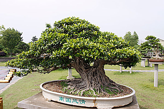 xsmn thu 4 hang tuan