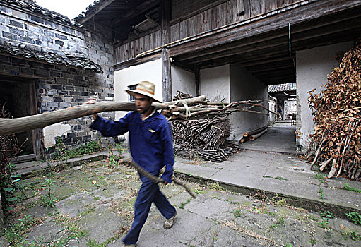 dự đoán xổ số cần thơ
