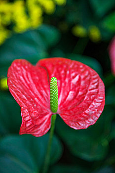 xổ số kiên giang 30 ngày