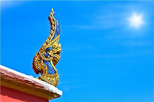 soi cau bach thu mien bac mien phi