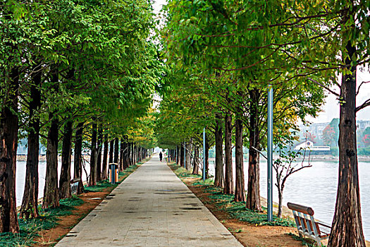 dự đoán mb