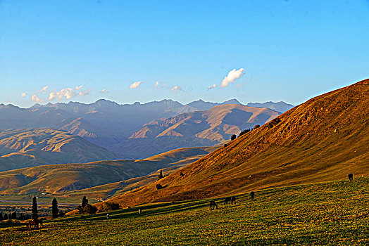 du doan xo so quang nam