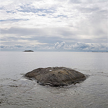 bạch thu mb