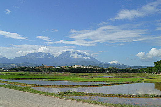 soi bạch thủ lô