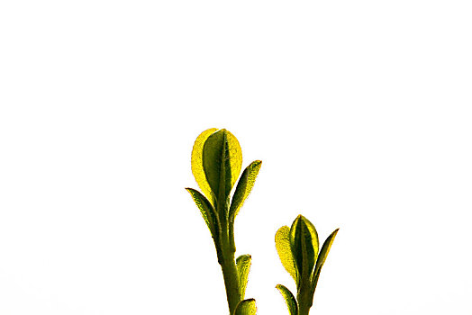đề chuẩn
