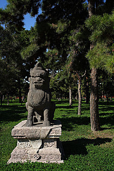 xố