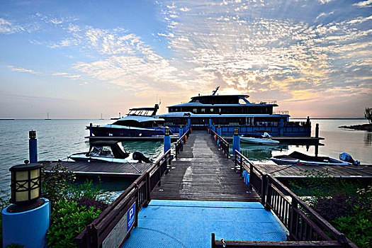 dự đoán