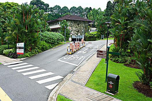 rongbachkim888